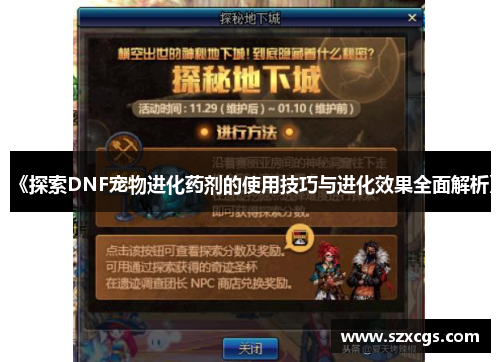 《探索DNF宠物进化药剂的使用技巧与进化效果全面解析》